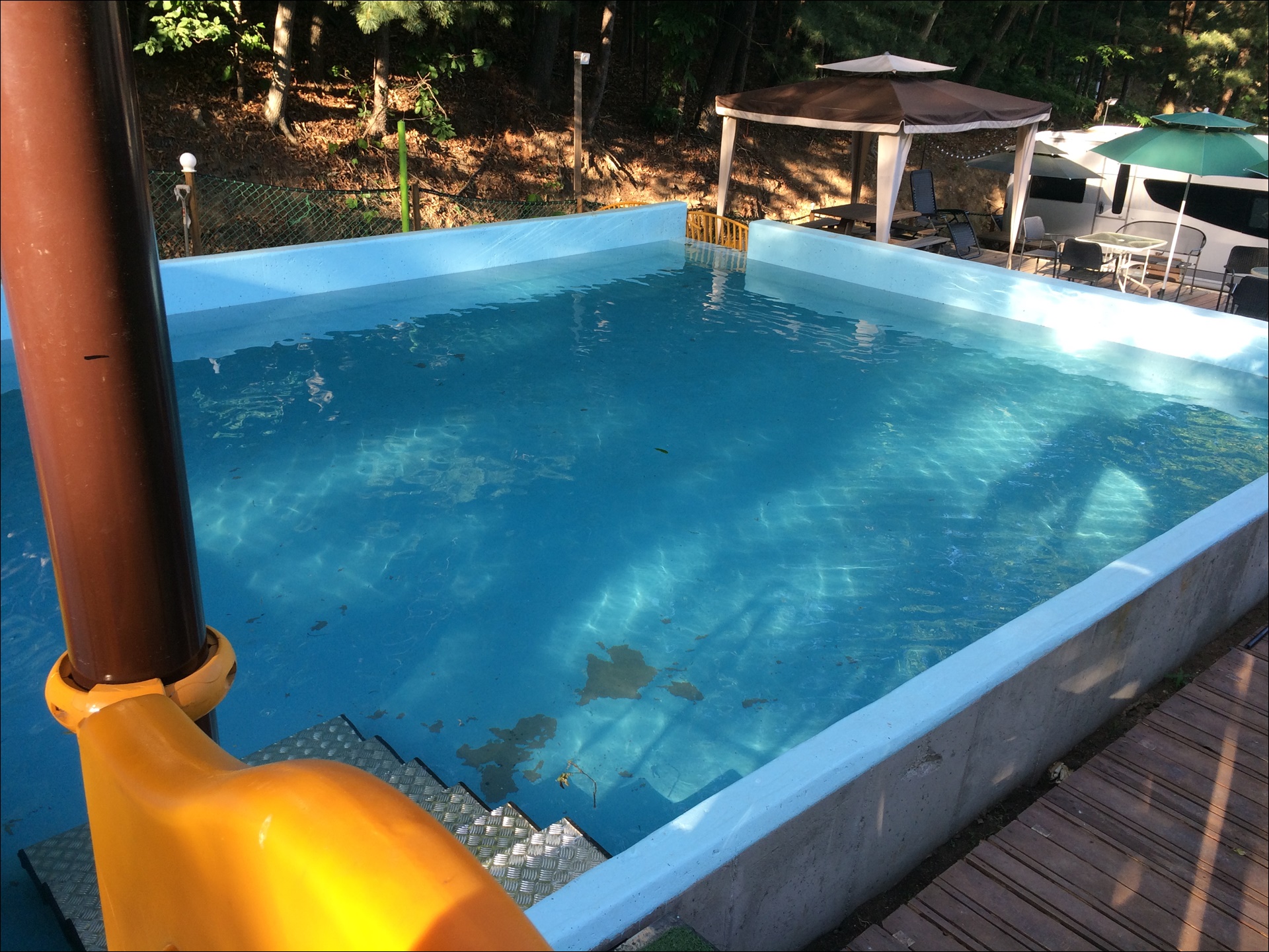 용인 애견운동장 컨츄리독 힐링파크