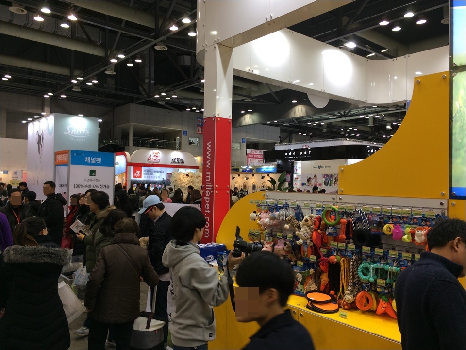 일산 킨텍스 케이펫페어 방문기