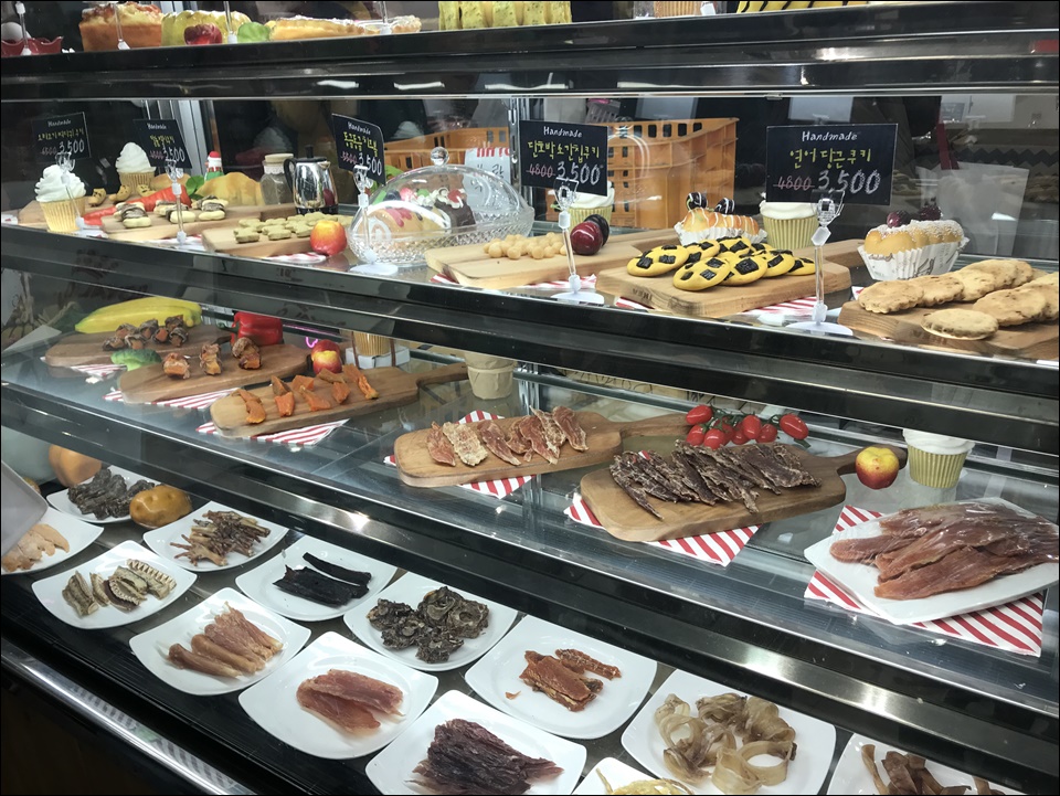 일산 킨텍스 케이펫페어 방문기