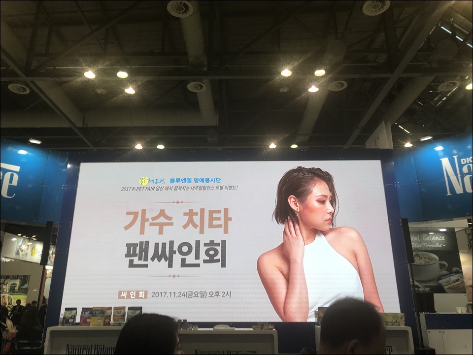 일산 킨텍스 케이펫페어 방문기