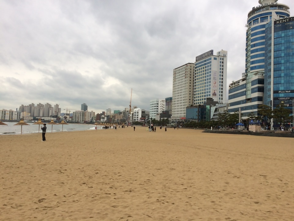 부산 애견동반 여행 광안리 해변
