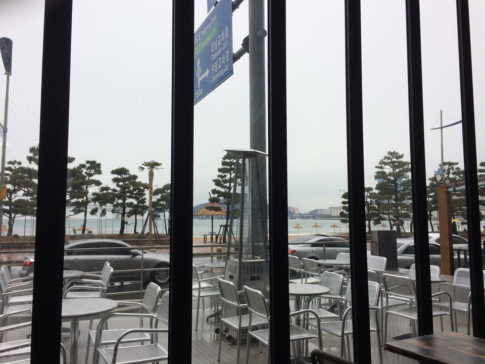 광안리 애견동반카페 엘룬