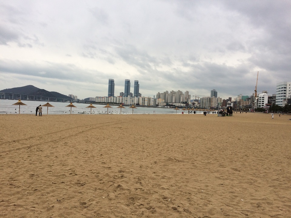 부산 애견동반 여행 광안리 해변