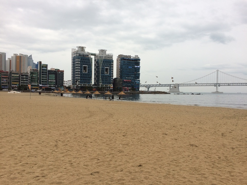 부산 애견동반 여행 광안리 해변
