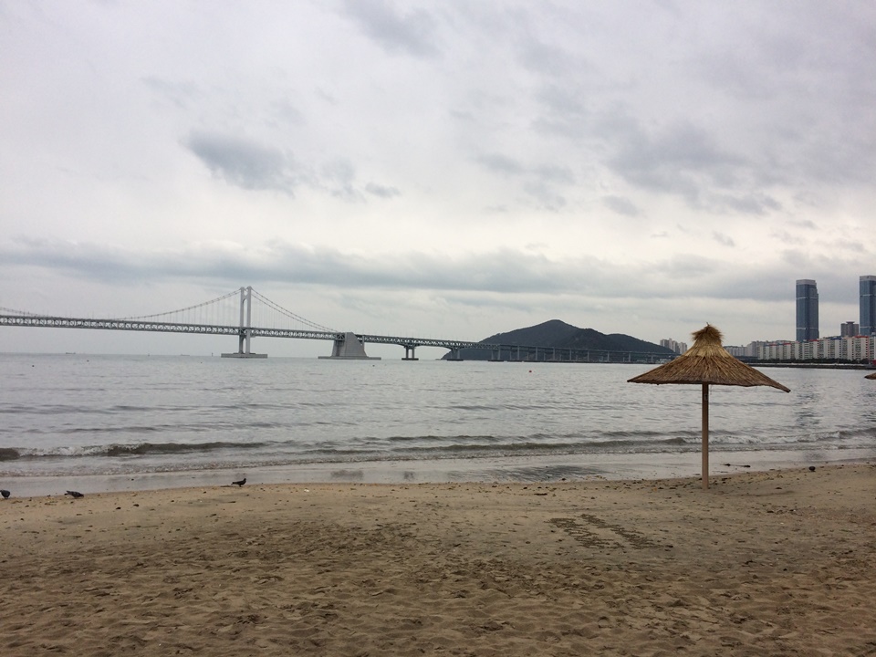 부산 애견동반 여행 광안리 해변