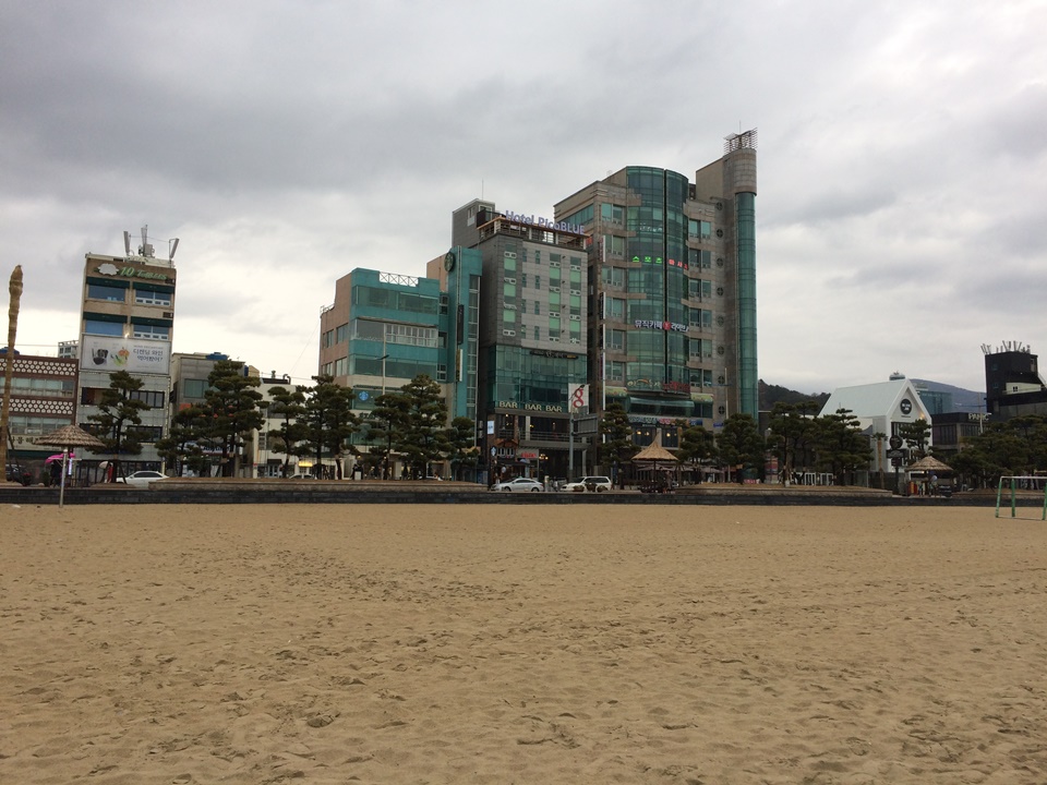 부산 애견동반 여행 광안리 해변