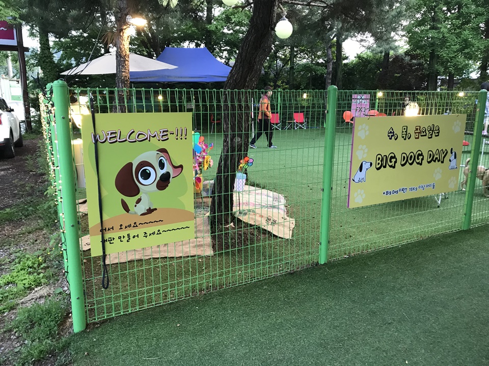 남양주 애견동반식당 개떼놀이터