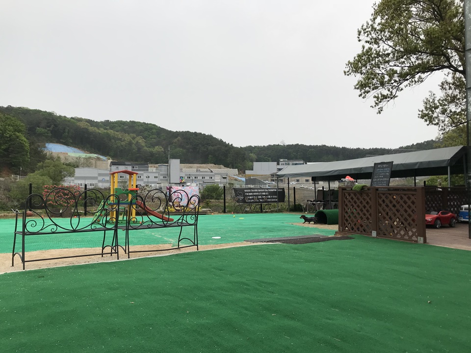 파주 애견카페 독신남