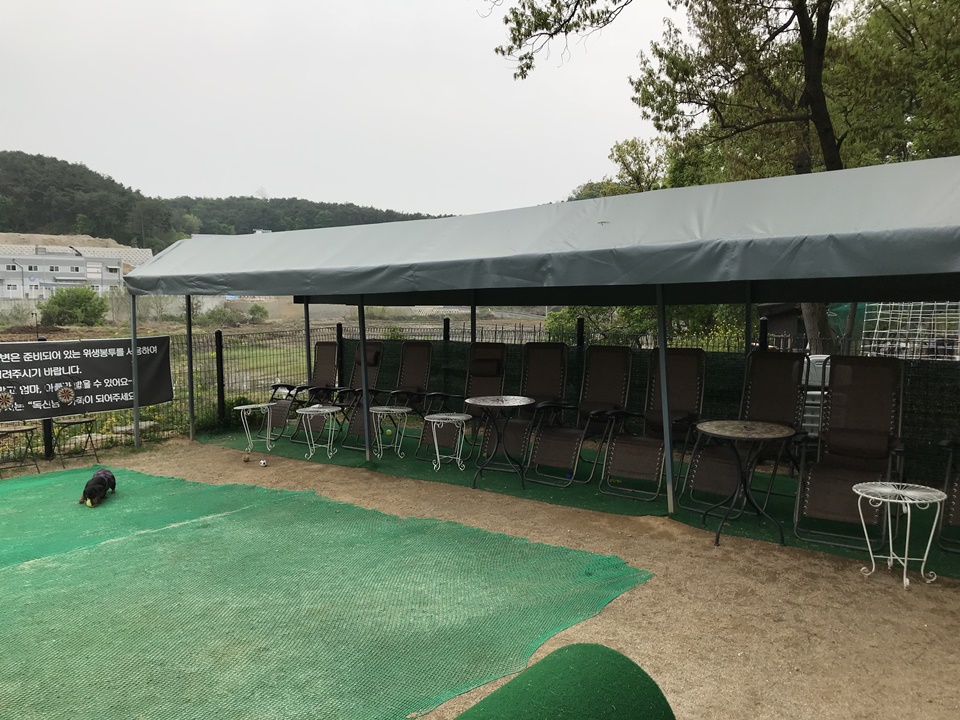 파주 애견카페 독신남