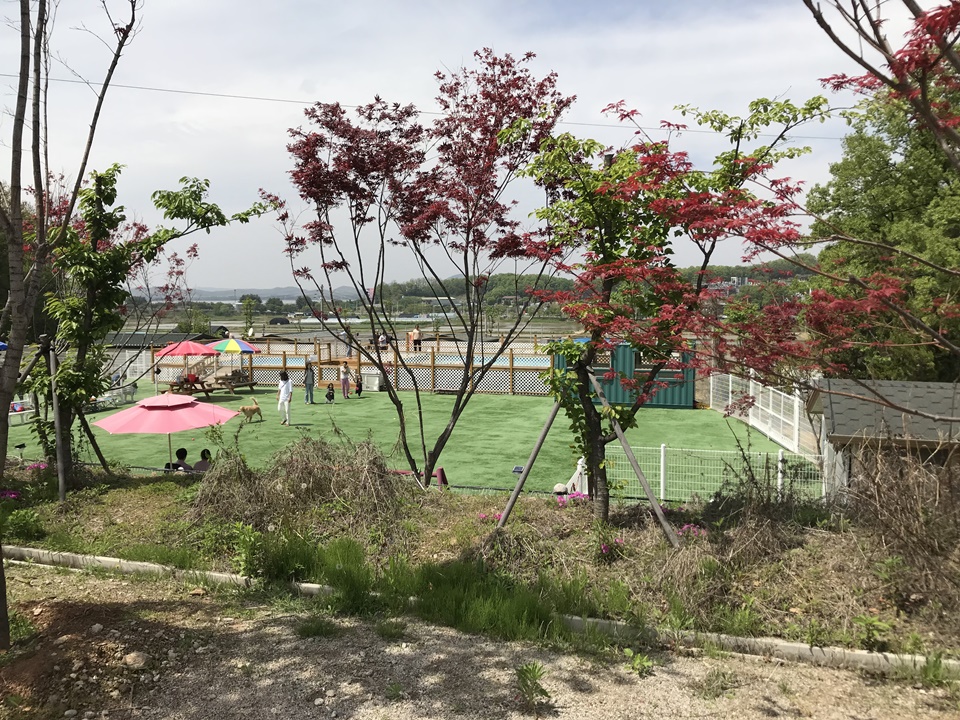 파주 애견운동장 아임버디