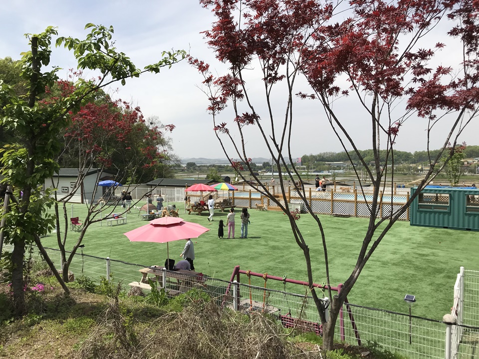 파주 애견운동장 아임버디
