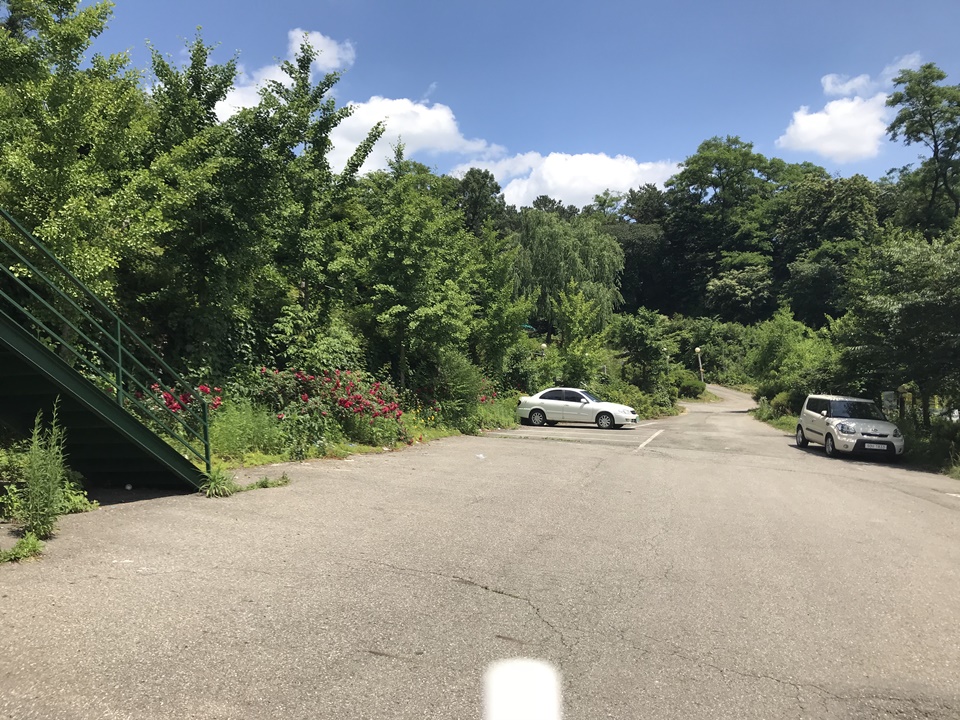 파주 애견카페 리드펫