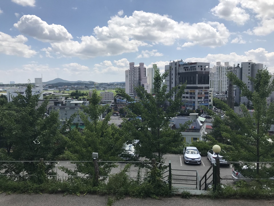 파주 애견카페 리드펫