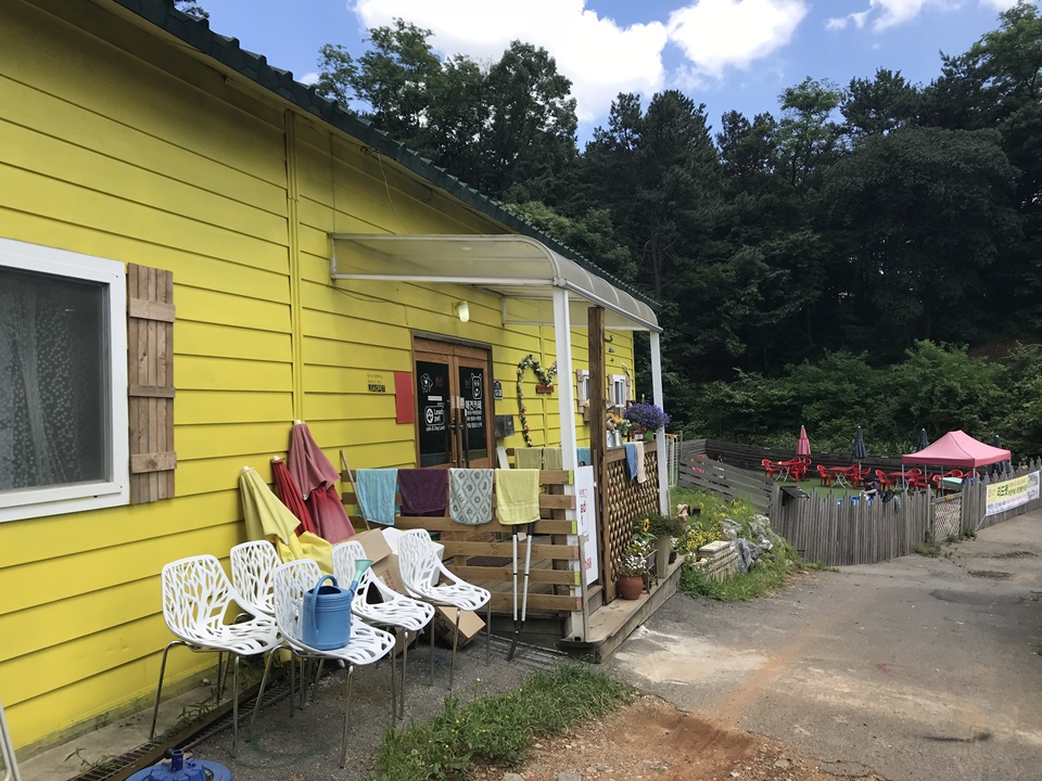 파주 애견카페 리드펫