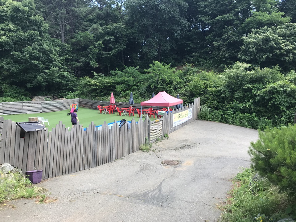 파주 애견카페 리드펫