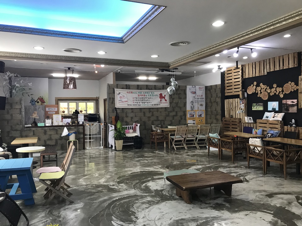 파주 애견카페 리드펫