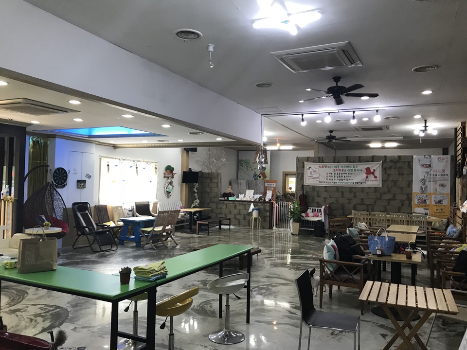파주 애견카페 리드펫