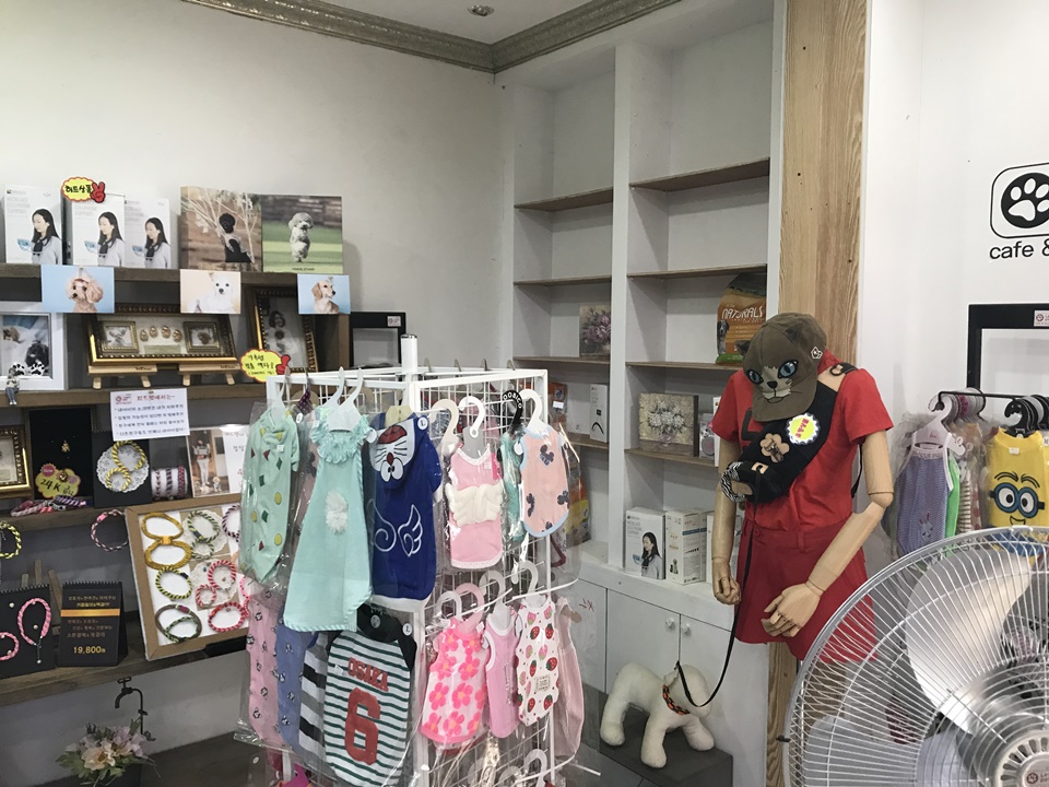 파주 애견카페 리드펫