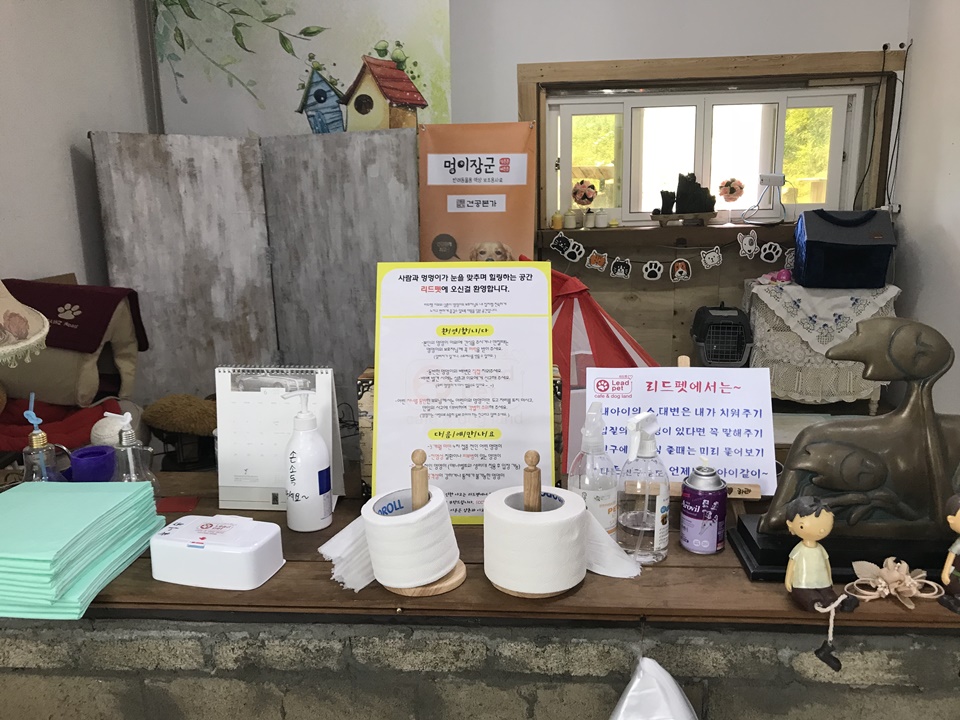 파주 애견카페 리드펫