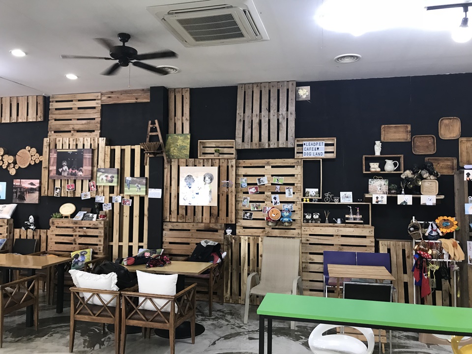 파주 애견카페 리드펫