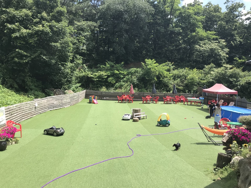 파주 애견카페 리드펫