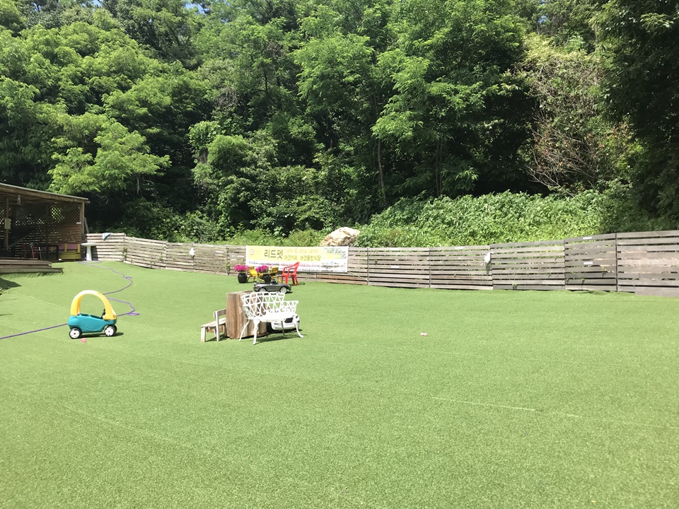 파주 애견카페 리드펫