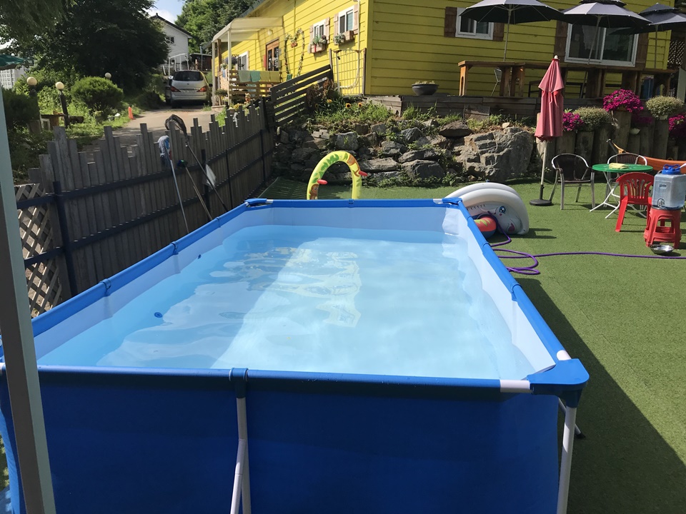 파주 애견카페 리드펫