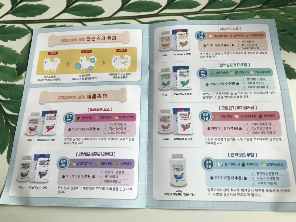 강아지 탄산스파 퍼피덤케어 웨일