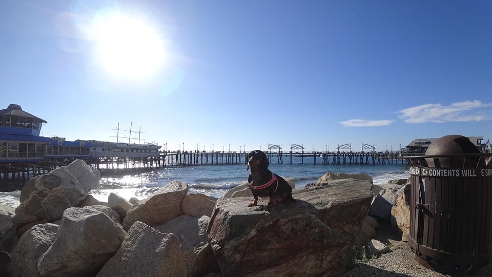  Redondo Beach Pier (레돈도 비치피어/ 리돈도 비치피어), CA, 캘리포니아