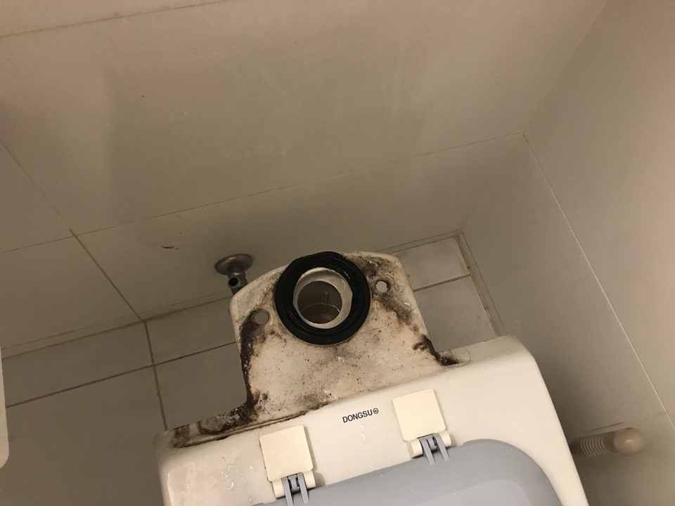 화장품 변기 부속품 셀프 교체기