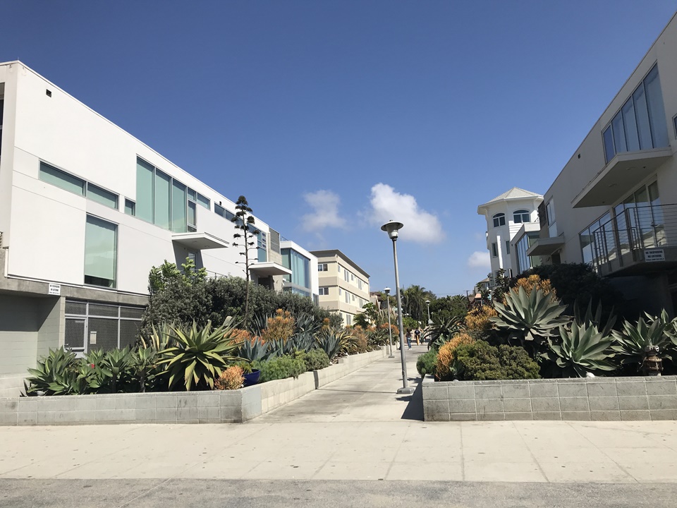 LA 베니스 비치 (Venice Beach), CA