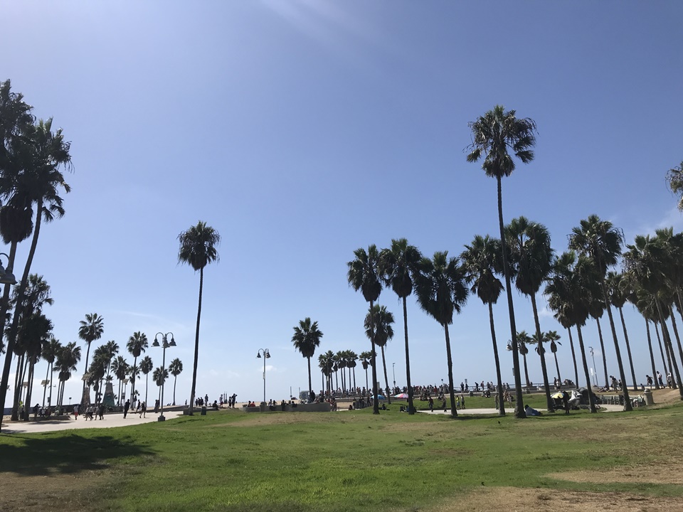 LA 베니스 비치 (Venice Beach), CA