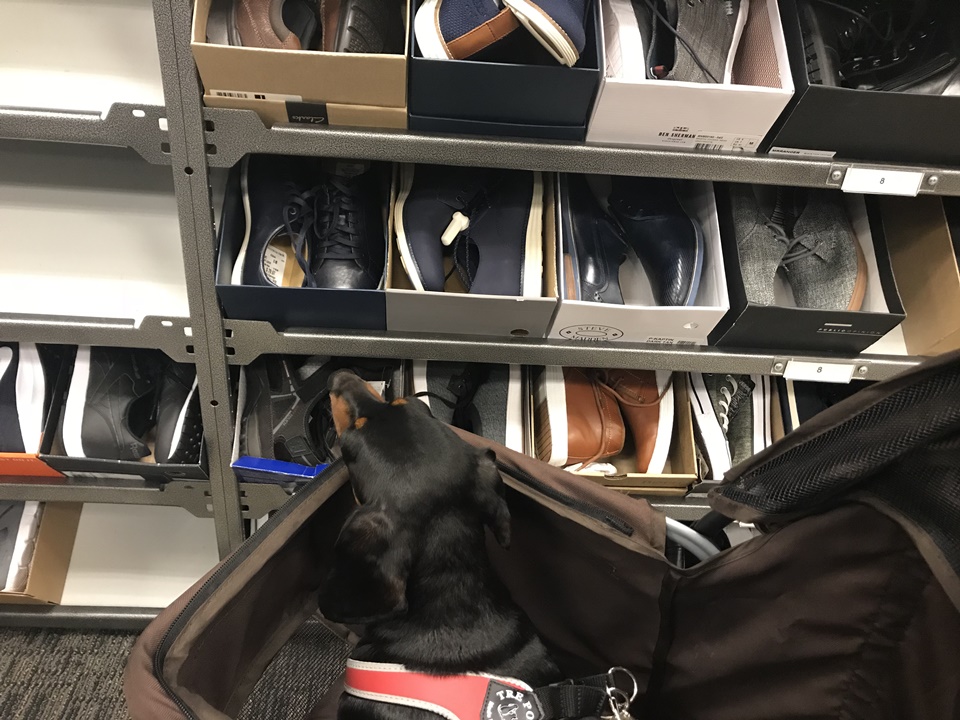  노드스트롬랙 (Nordstrom rack), 로스앤젤레스, 캘리포니아, LA, CA