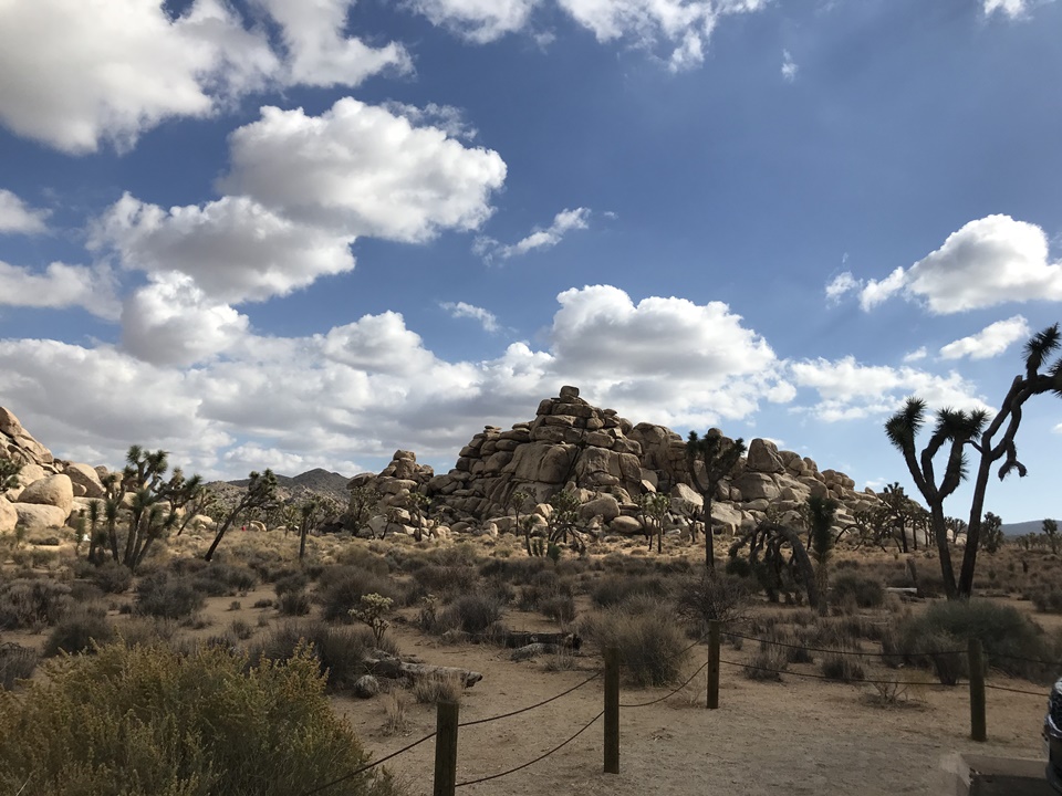  조슈아트리 국립공원(JOSHUA TREE NATIONAL PARK) – 캡락(Cap Rock), 캘리포니아, CA