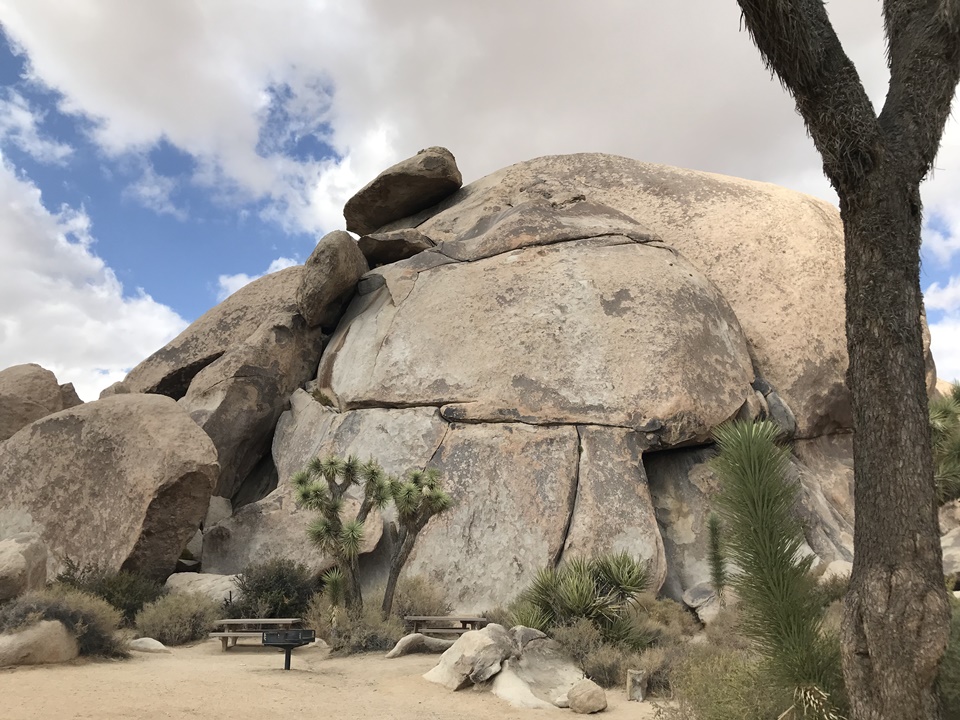  조슈아트리 국립공원(JOSHUA TREE NATIONAL PARK) – 캡락(Cap Rock), 캘리포니아, CA