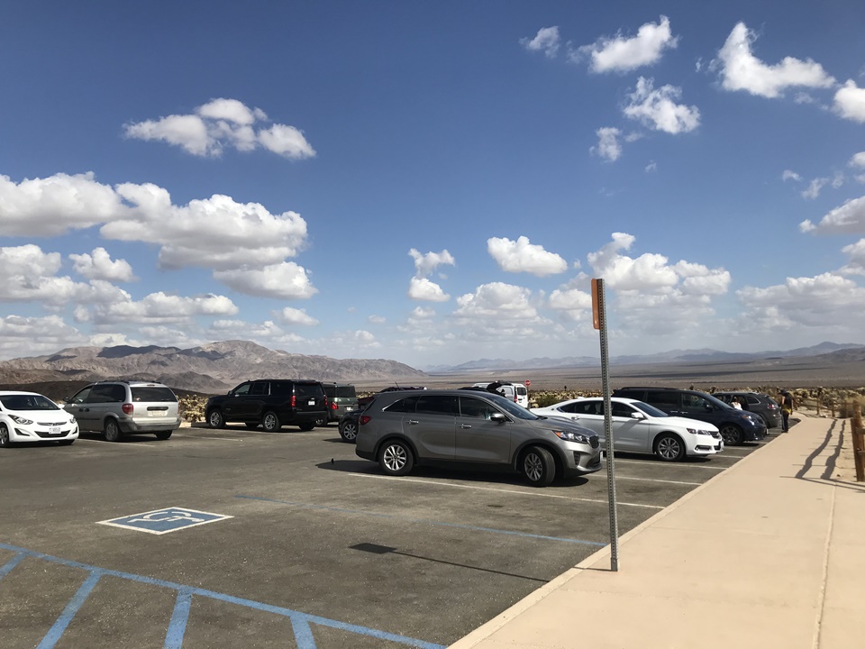  조슈아트리 국립공원(JOSHUA TREE NATIONAL PARK) – 초야 칵투스 가든(Cholla Cactus Garden Trail), 캘리포니아, CA