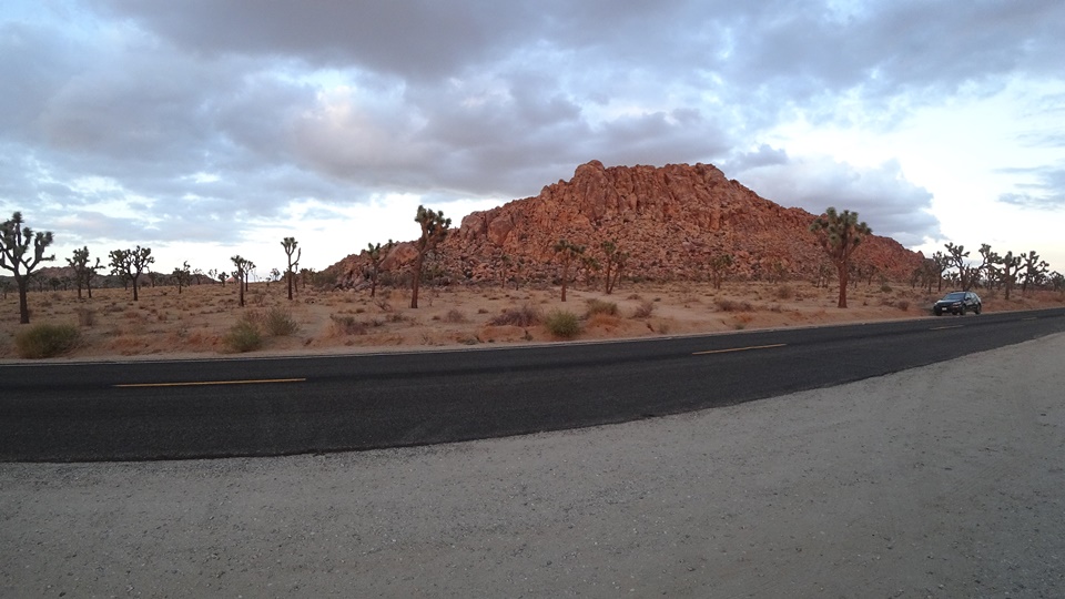  해질무렵의 조슈아트리 국립공원(JOSHUA TREE NATIONAL PARK), 캘리포니아, CA