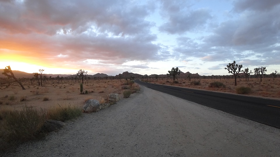  해질무렵의 조슈아트리 국립공원(JOSHUA TREE NATIONAL PARK), 캘리포니아, CA