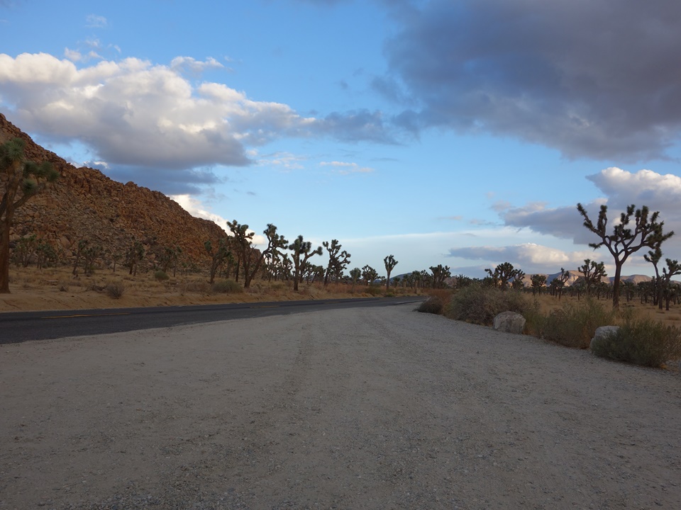  해질무렵의 조슈아트리 국립공원(JOSHUA TREE NATIONAL PARK), 캘리포니아, CA