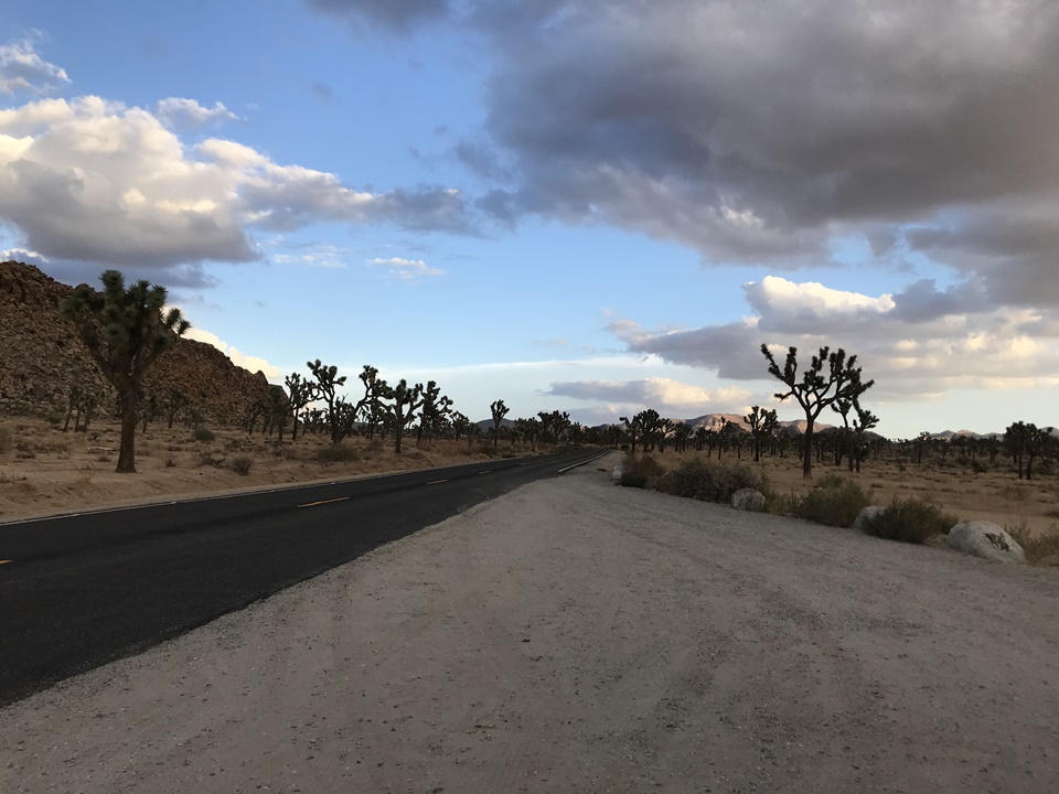  해질무렵의 조슈아트리 국립공원(JOSHUA TREE NATIONAL PARK), 캘리포니아, CA
