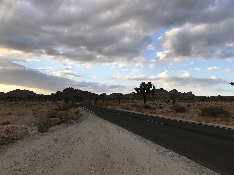  해질무렵의 조슈아트리 국립공원(JOSHUA TREE NATIONAL PARK), 캘리포니아, CA
