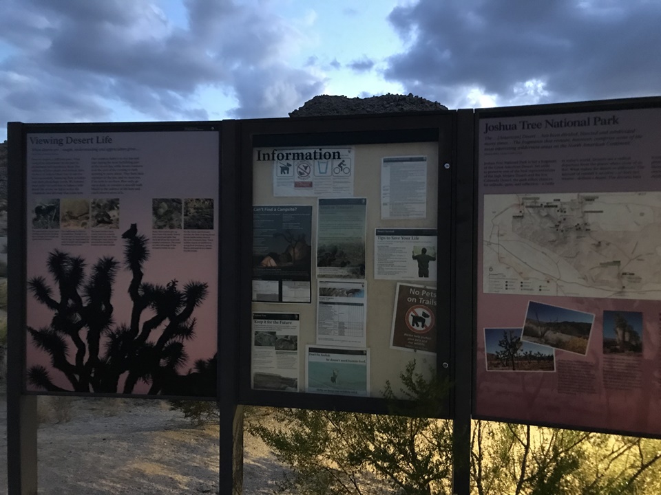  해질무렵의 조슈아트리 국립공원(JOSHUA TREE NATIONAL PARK), 캘리포니아, CA