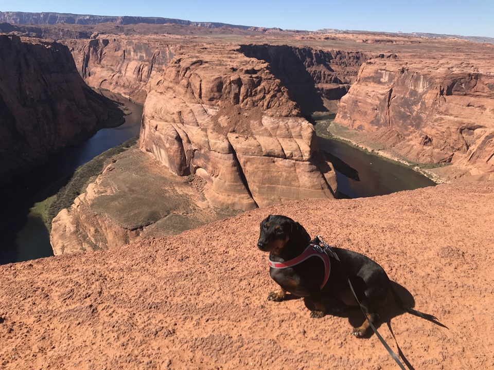  호스슈밴드 (Horseshoe Bend), 페이지, 애리조나, Page, AZ