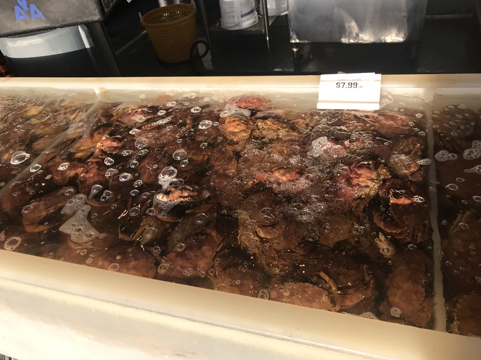 LA 레돈도비치피어 맛집, 퀄리티 씨푸드 (Quality Seafood inc) 식당