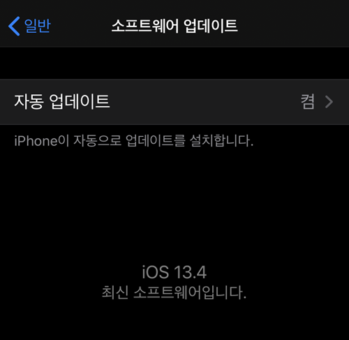 아이폰11 IOS 13.4 업데이트 후기