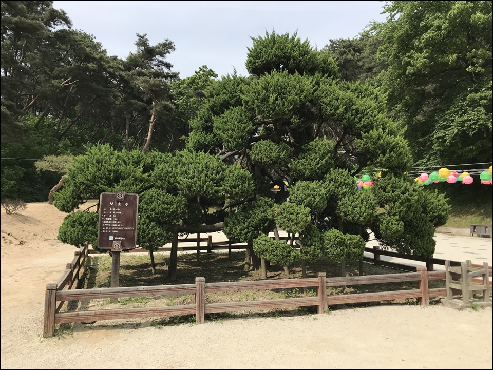 휠체어로 방문 가능한 여주 신륵사