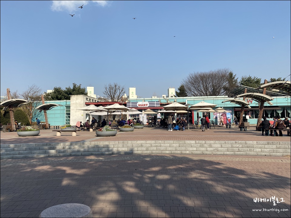 코로나19 로 바뀐 일상, 공원의 봄 