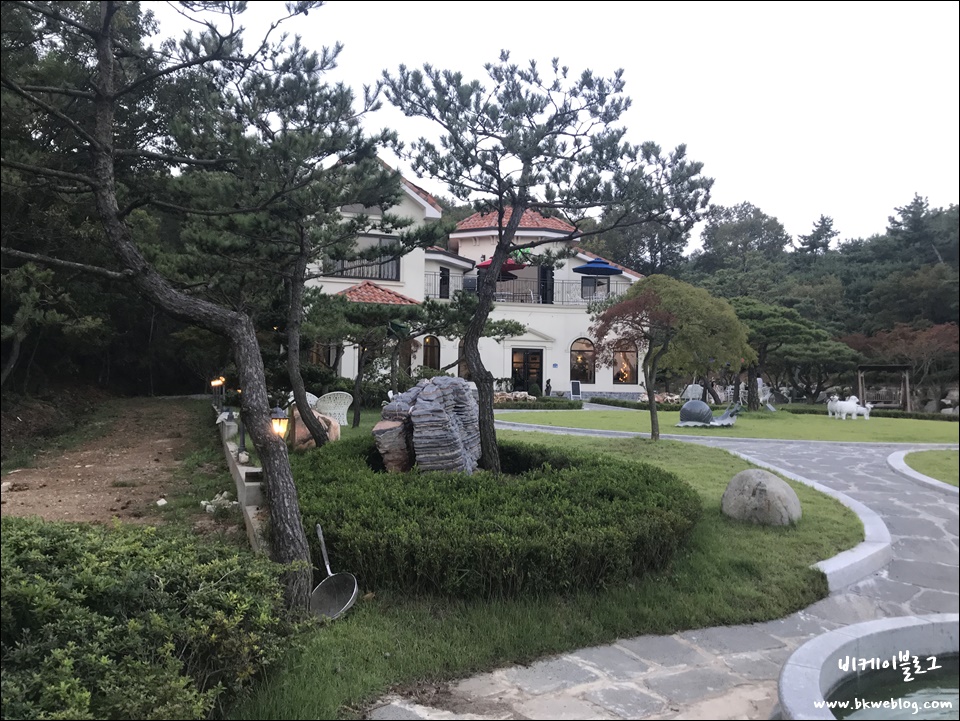대부도 애견동반까페 라라랜드