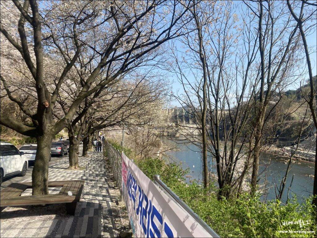 벚꽃 여행 충주 충주댐 방문기