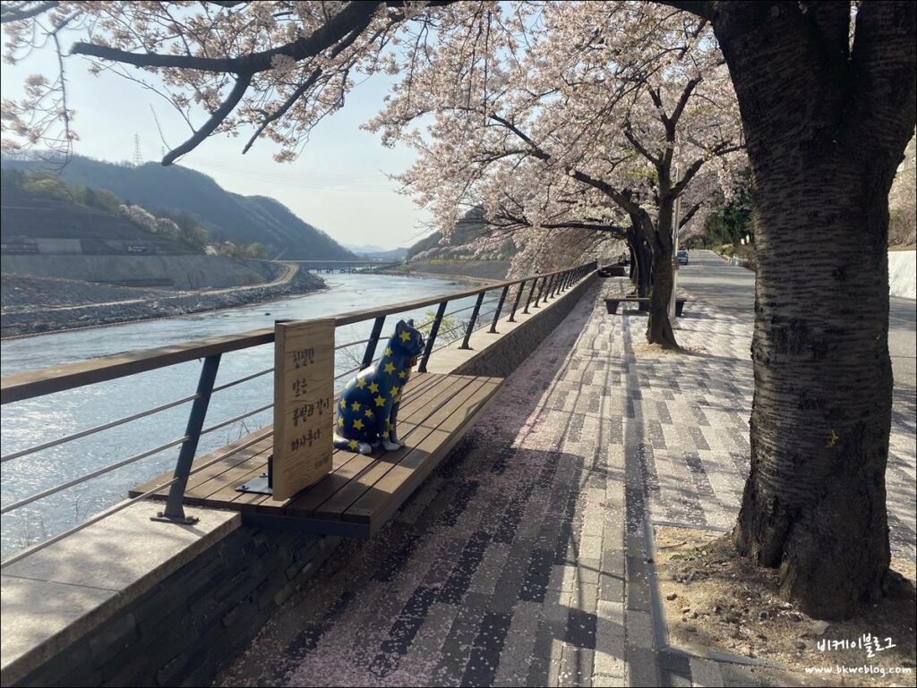 벚꽃 여행 충주 충주댐 방문기
